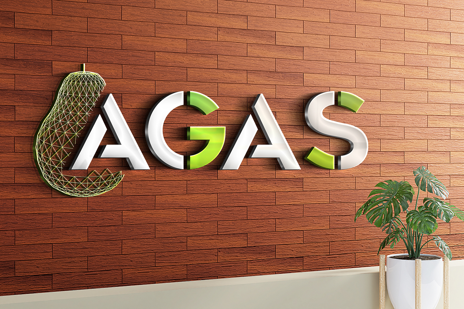 אודות AGAS מחשוב ותקשורת לעסקים